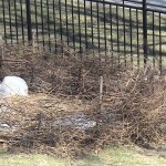 gr 5 nest – grapevine fence