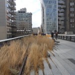 High Line 2012
